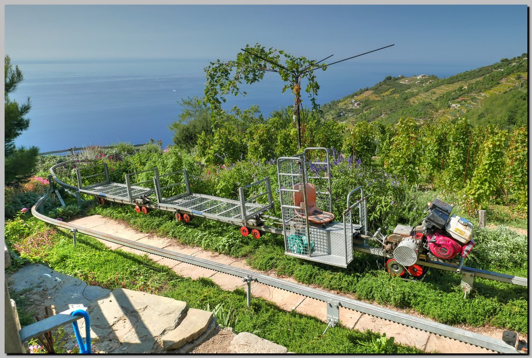 P1590649_50_51.jpg (343 KB)