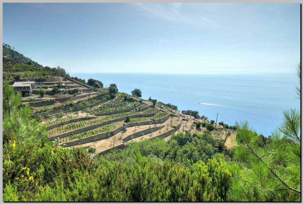 P1590652_3_4.jpg (276 KB)