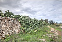 P1650631_2_3.jpg(283 KB)