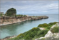 P1650643_4_5.jpg(277 KB)