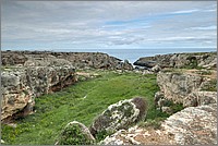 P1650646_7_8.jpg(281 KB)