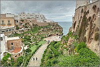 P1650670_1_2.jpg(317 KB)