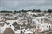 P1650784_5_6.jpg(256 KB)