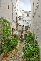P1650811_2_3.jpg(161 KB)