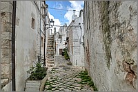 P1650823_4_5.jpg(262 KB)