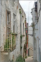P1650826_7_8.jpg(148 KB)