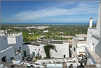 P1650850_1_2.jpg(229 KB)