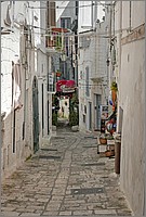 P1650859_60_61.jpg(138 KB)