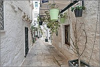 P1650880_1_2.jpg(265 KB)