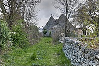 P1650898_899_900.jpg(388 KB)