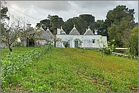 P1650901_2_3.jpg(354 KB)