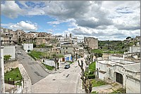 P1650913_4_5.jpg(243 KB)