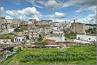P1650916_7_8.jpg(300 KB)