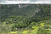 P1650928_29_30.jpg(312 KB)