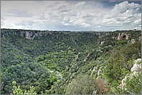 P1650934_5_6.jpg(288 KB)