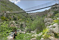 P1660088_89_90.jpg(359 KB)