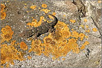 P1660199_200_201.jpg(393 KB)