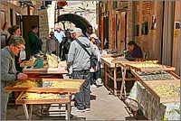 P1660217_8_9.jpg(275 KB)