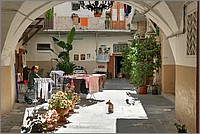P1660226_7_8.jpg(248 KB)