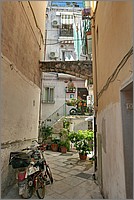 P1660229_30_31.jpg(125 KB)