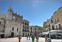 P1660250_1_2.jpg(186 KB)