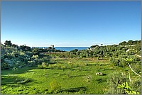 P1660298_299_300.jpg(248 KB)