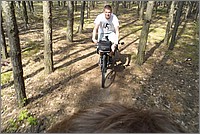 SAM_1308.JPG(182 KB)