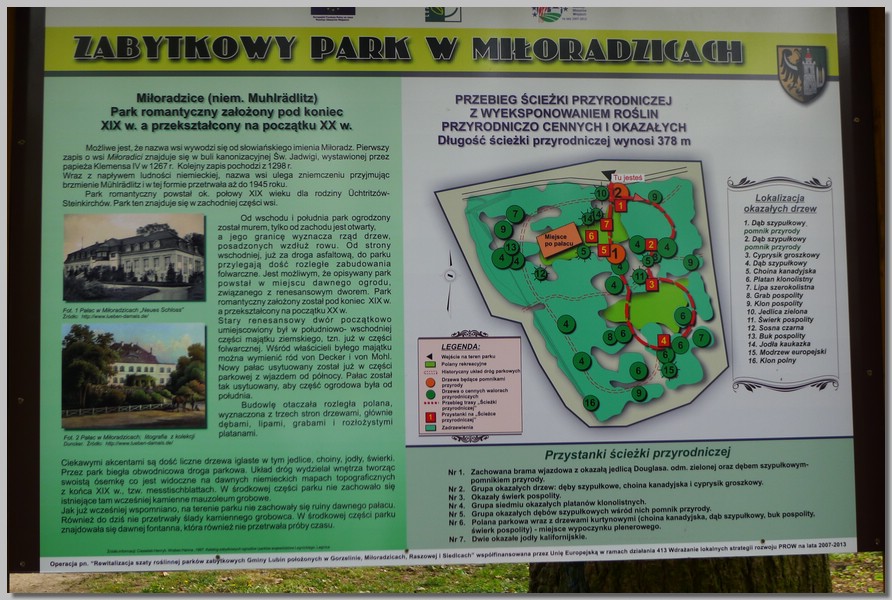 P1130799.JPG (169 KB)