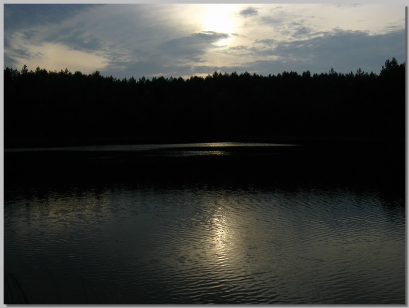 IMG_4224.JPG (70,2 KB)