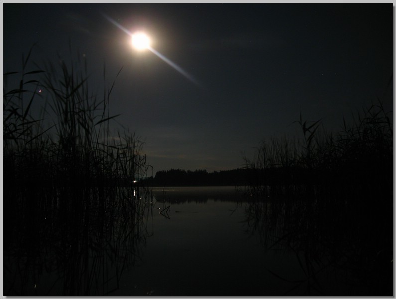 IMG_4307.JPG (50,9 KB)