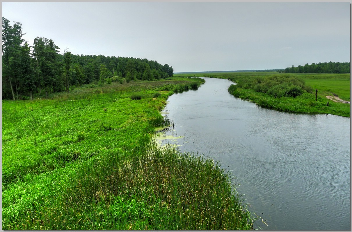P1190784_5_6.jpg (327 KB)